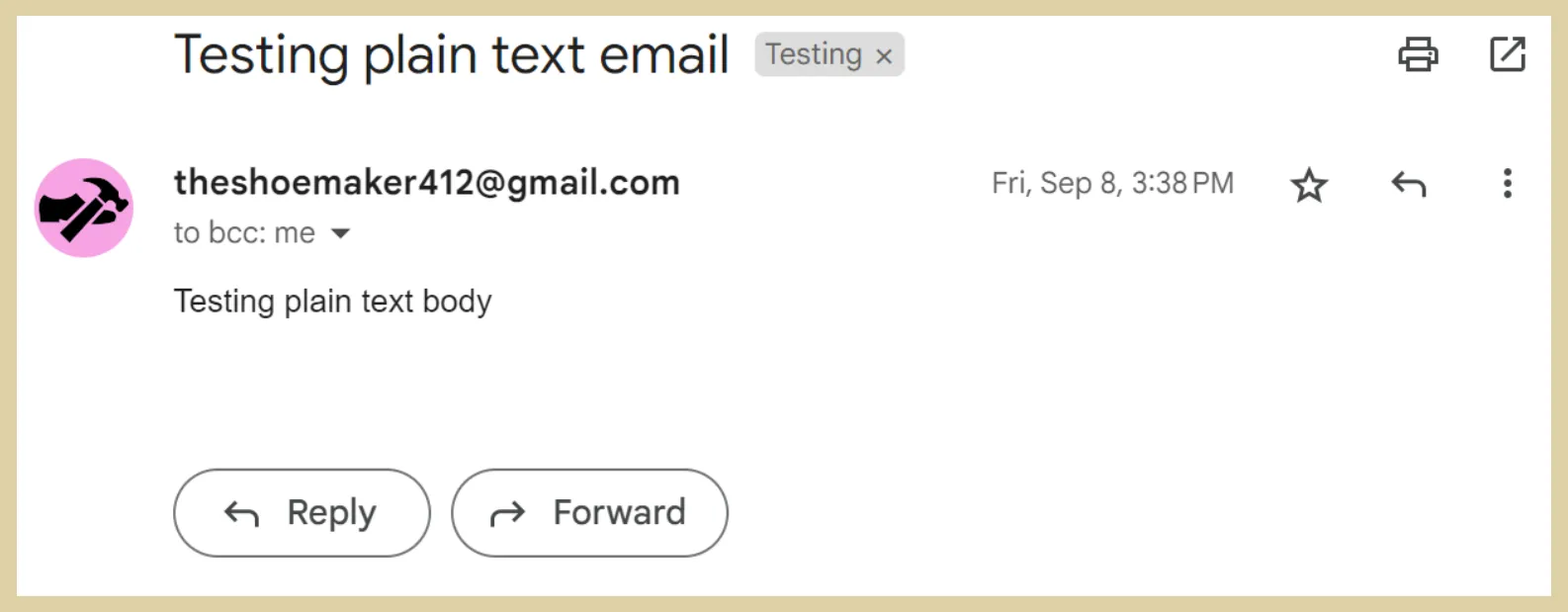 testing plain text email