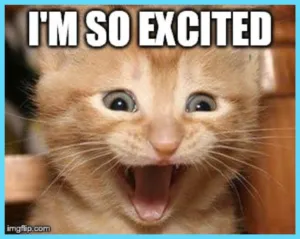 cupofcode_blog_wordle_react_1_meme_excited